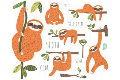 Cute Sloth Hanging on Tree Collection set