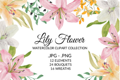 Tropical Lily Flower Watercolor Clipart Collection
