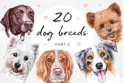 PART 3. Big watercolor illustrations set DOG breed. Cute 20 dogs.