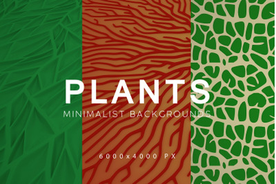 Minimalist Plant Backgrounds