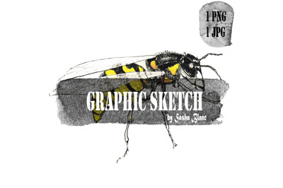Sketch wasp