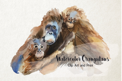 Mother and Babies Orangutans - Watercolor Print and Clip Art