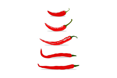 design illustrations of various forms of red chili