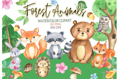 Forest animals clipart Woodland clip art watercolor PNG