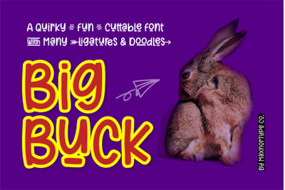 BigBuck - a Quirky Fun Cuttable Font with Many Ligatures and Doodles