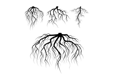 Tree Underground Roots Vector. Plant Underground Roots Set. Tree Root Black. illustration Of Plant Silhouette Root