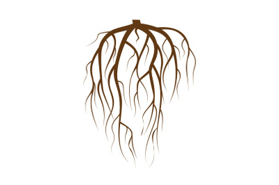 Tree Underground Roots Vector. Brown Tree Root On White Background Flat Isolated Illustration