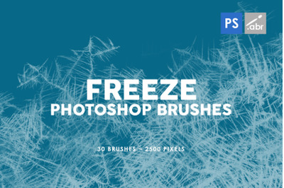 Freeze Photoshop Stamp Brushes