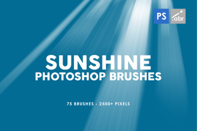 Sunshine Photoshop Stamp Brushes