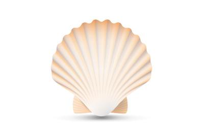 Scallop Seashell Vector. Beauty Exotic Souvenir Scallops Shell Isolated On White Background Illustration