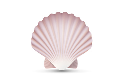 Scallop Seashell Vector. Ocean Mollusk Sea Shell Close Up. Isolated. Illustration