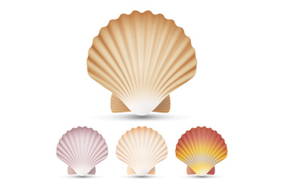 Scallop Seashell Set Vector. Exotic Souvenir Scallops Shell Isolated On White Background Illustration