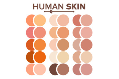 Skin Human Vector. Various Body Tones Chart. Realistic Texture Palette. Illustration