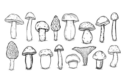 Mushroom set