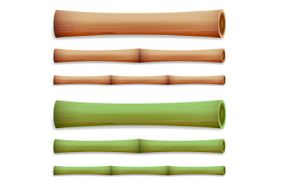 Bamboo Stems Isolated. Green And Brown