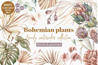 Bohemian plants - trendy watercolors