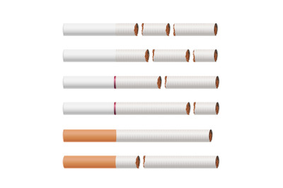 Broken Cigarettes Vector. Smoking Kills. Medical Healthcare Quit Smoking Concept. Tobacco Leaves. Realistic Illustration. Isolated On White.