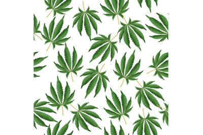 Cannabis Background. Marijuana Hemp Texture. Green Leaf. Hashish Narcotic.