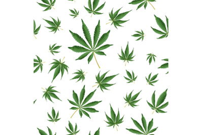 Cannabis Background. Marijuana Hemp Texture