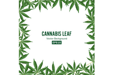Cannabis Background. Vector Marijuana Frame. Green Leaf