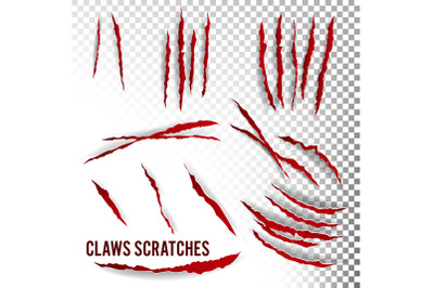 Claws Scratches Vector. Transparent Background. Realistic Illustration