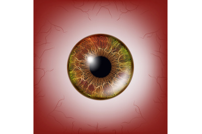 Red Eye. Scary Bloody Realistic Eyeball