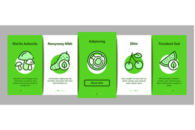 Organic Eco Foods Onboarding Elements Icons Set Vector