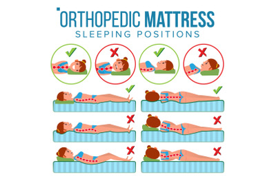 Orthopedic Mattress Vector. Curvature Of Human Spine. Sleeping Position. Spine Support. Health Body. Pillow. Comfortable Bed. Various Mattresses. Correct Spine. Isolated Flat Illustration