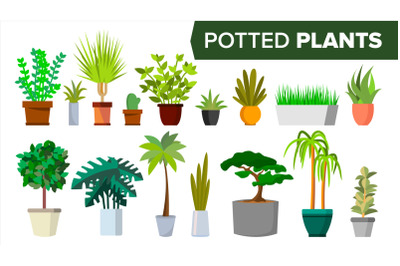 Potted Plants Set Vector. Indoor Home, Office Modern Style Houseplants. Green Color Plants In Pot. Various. Floral Interior Icon. Decoration Design Element. Isolated Flat Illustration