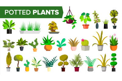 Potted Plants Set Vector. Green Color Plants In Pot. Indoor Home, Office Modern Houseplants. Various. Floral Interior Icon. Decoration Design Element. Isolated Illustration