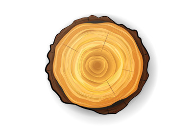 Cross Section Tree Wooden Stump Vector. Tree Round Cut With Annual Rings