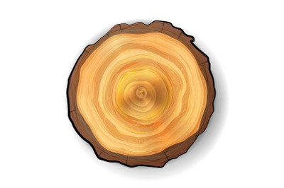 Cross Section Tree Wooden Stump Vector