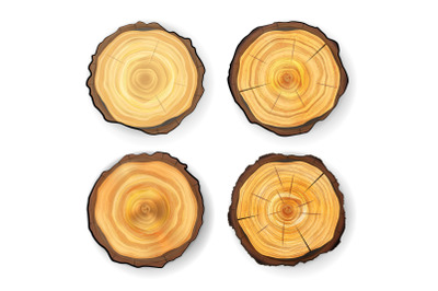 Cross Section Tree Set Wooden Stump Vector