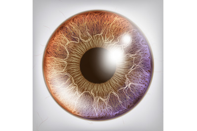 Eye Iris Realistic Vector. Anatomy Concept Illustration