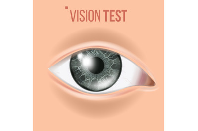 Human Eye Vector. Sight, Eyesight. Body Care. Realistic Detail Vision Illustration