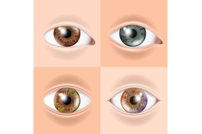 Human Eye Set Vector. Vision Concept. Medical Eye Diagnostic. Sight, Eyesight. Organ Test. Body Care. Realistic Detail Illustration