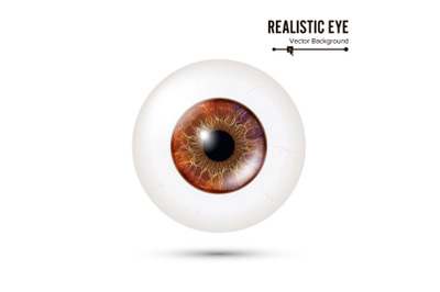 Realistic Detailed Human Eyeball. Vector Illustration