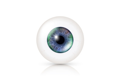 Realistic Human Eyeball. 3d Glossy Photorealistic Eye Detail With Shadow And Reflection. Isolated On White Background. Vector Illustration