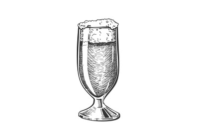 Hand Drawn Classical Glass With Foam Beer Vector