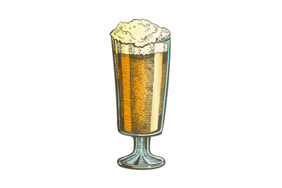 Hand Drawn Color Glass With Froth Bubble Beer Vector