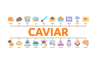 Caviar Seafood Product Minimal Infographic Banner Vector