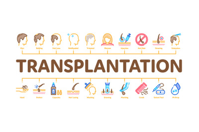 Hair Transplantation Minimal Infographic Banner Vector