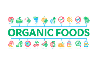 Organic Eco Foods Minimal Infographic Banner Vector