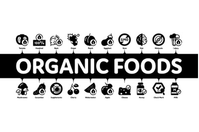 Organic Eco Foods Minimal Infographic Banner Vector