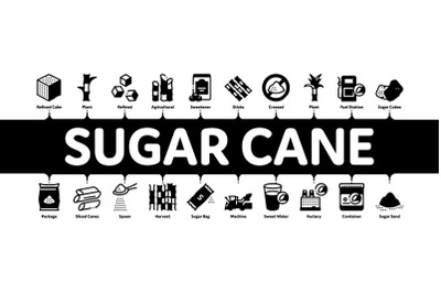 Sugar Cane Minimal Infographic Banner Vector