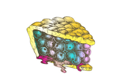 Color Delicious Berry Pie Sweet Dessert Vintage Vector