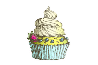 Color Creamy Berry Cake Sweet Dessert Vintage Vector