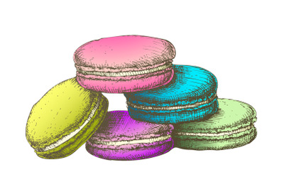 Color Macaroon Biscuit Sweet Dessert Vintage Vector