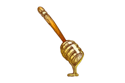 Color Honey Dripping From Wooden Dipper Stick Vector