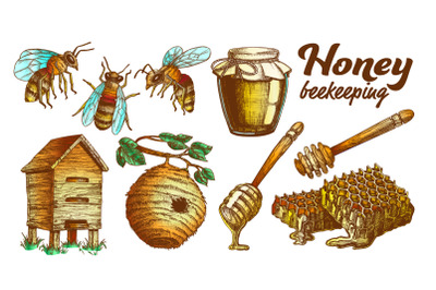 Color Honey Beekeeping Apiary Set Vector